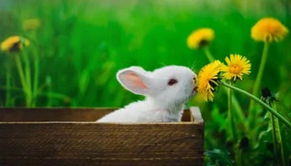 必一运动官方app-BOB半岛体育：海风中的运动生活新范式